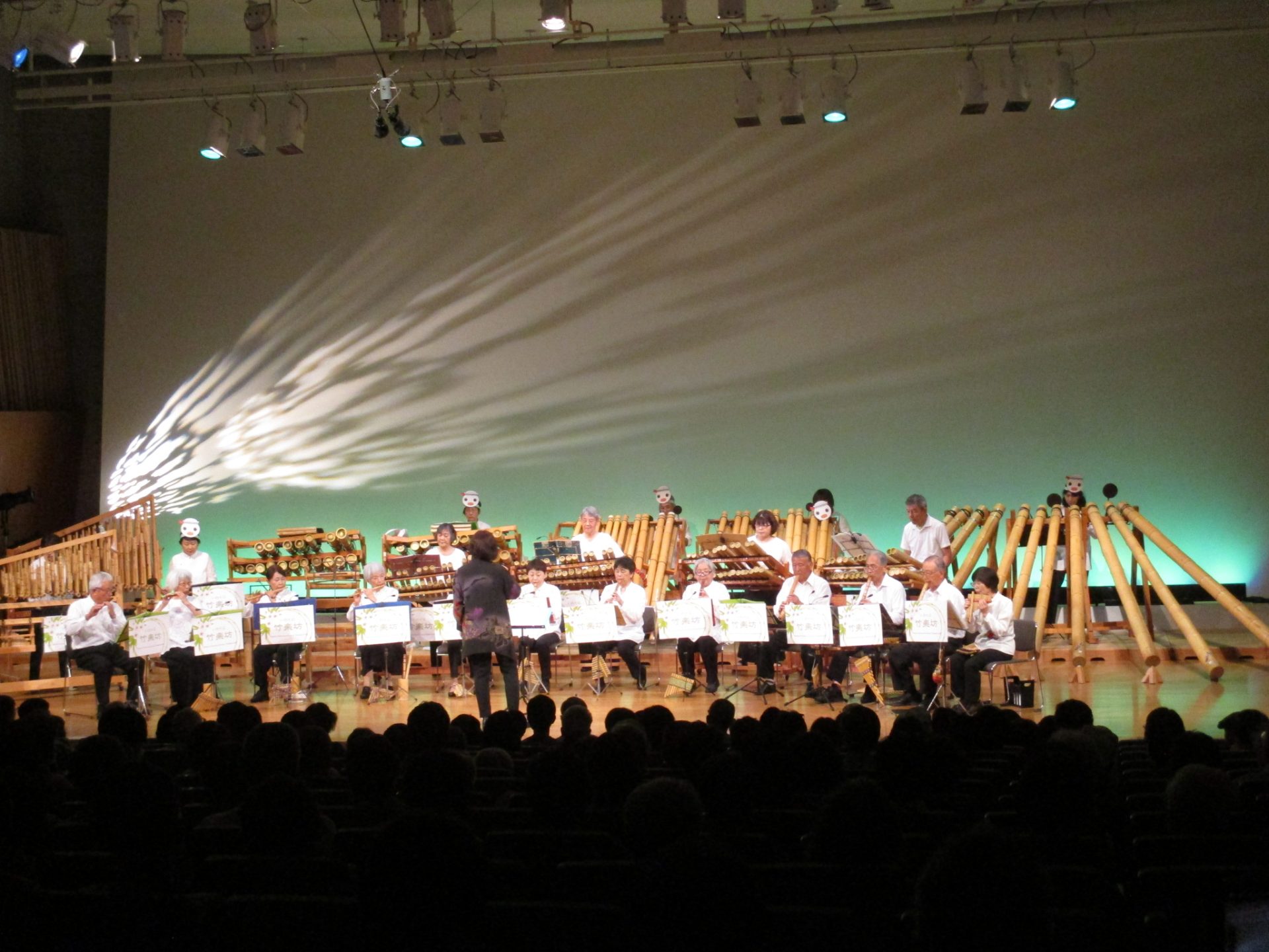 地面の空中写真。右上の角には道路が通っている。