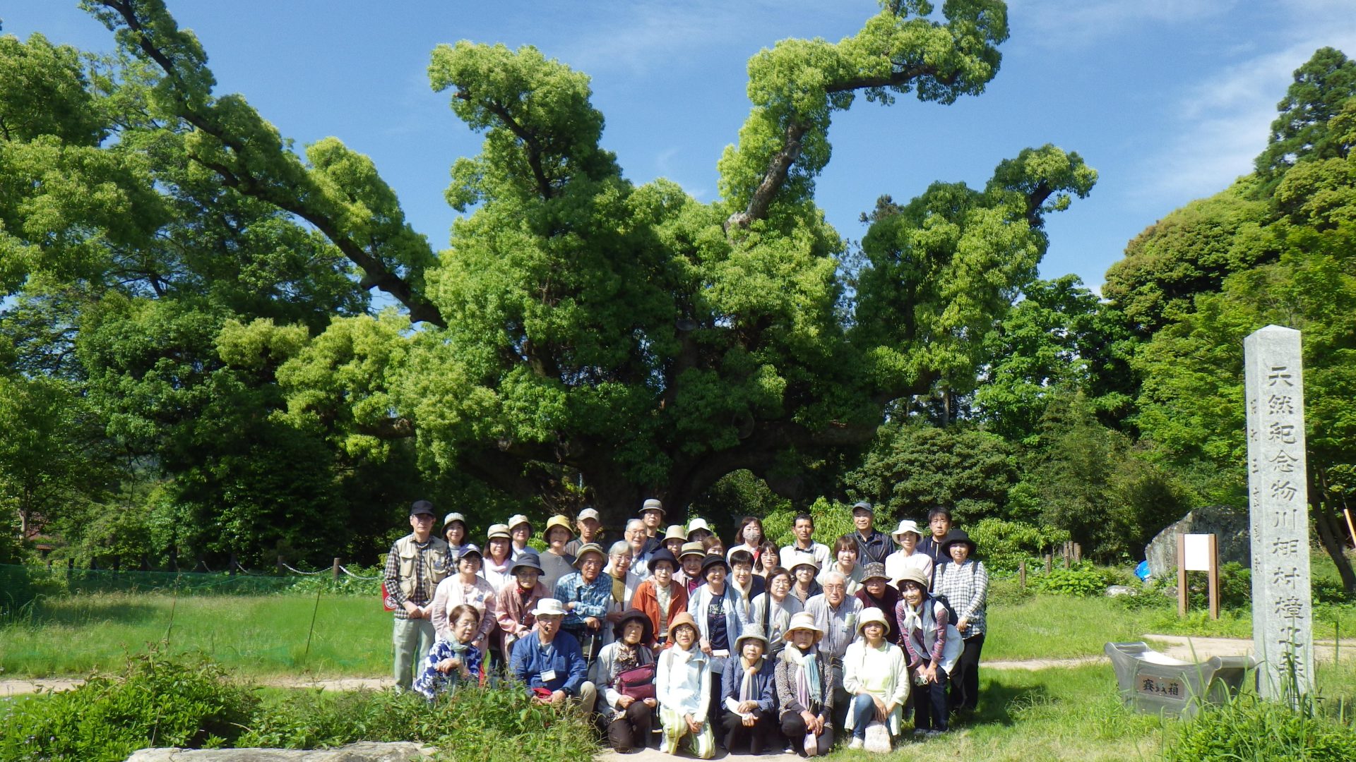 地面の空中写真。右上の角には道路が通っている。